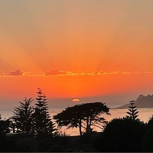 Meet your Posher, Delilah